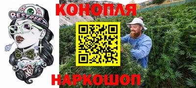 гидра Будённовск